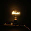 Ampoule LED DILIFIL GLOBE G80 90Lm/W IP20 Φ80×118mm AC85-265V - 4