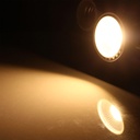 Ampoule LED DILISPOT E 5W 80Lm/W Φ50*56mm IP20 - 2