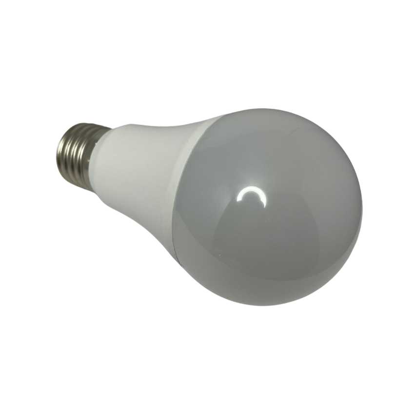 Ampoule LED DILIBULB CREP 7W 100Lm/W IP20