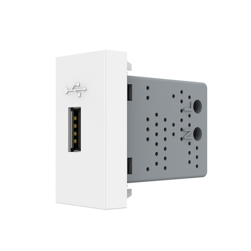 Prise USB Module LIVOLO AC110-250V
